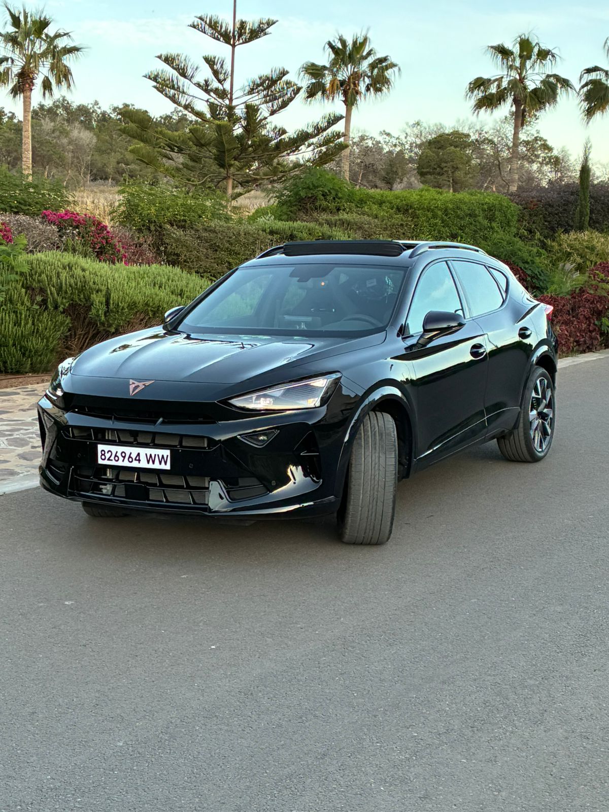 BLAN AUTO - Voiture 7